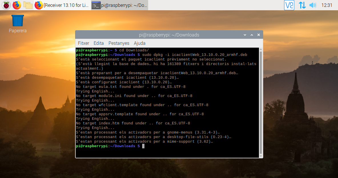 Configurant la Raspberry com a Thinclient amb Raspbian Buster i CITRIX