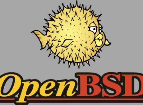 Instal·lant OpenBSD 6.5 al portàtil Lenovo Thinkpad x201i