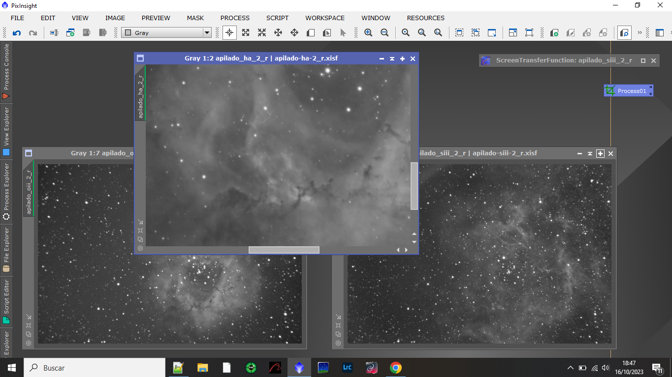 Podem fer zoom per a visualitzar els detalls i estructures en la nebulosa