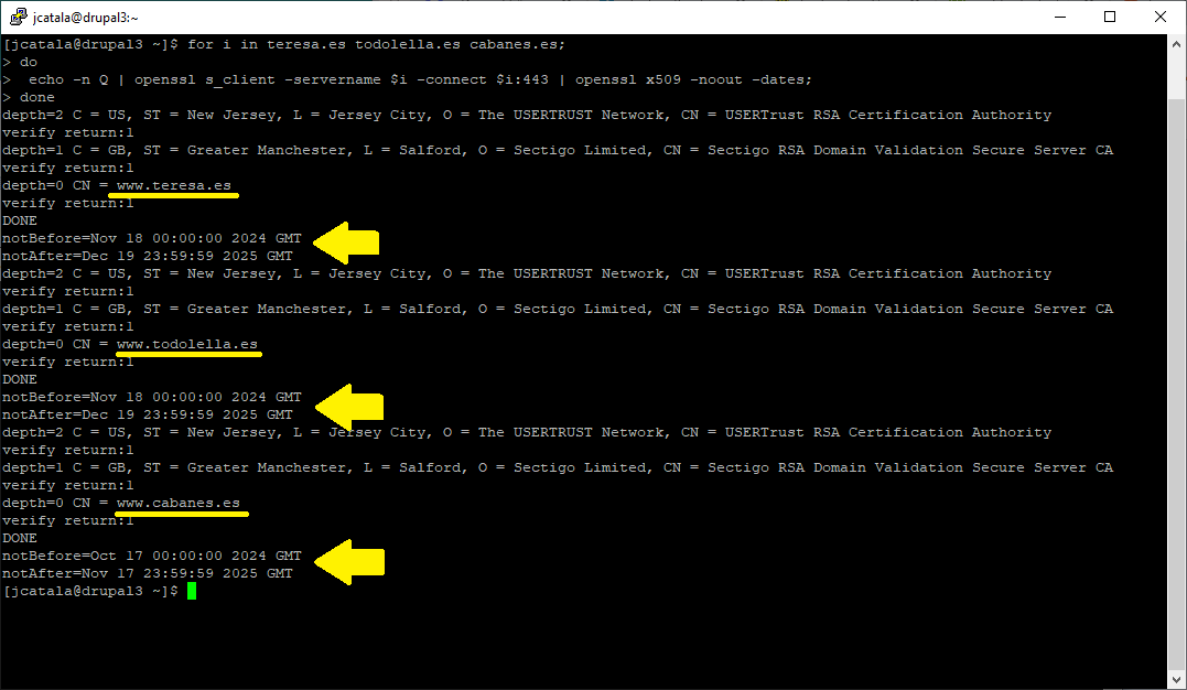 comprovant dades del certificat SSL a tres dominis al vol