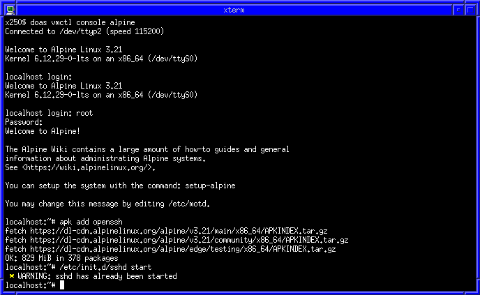 Executant aplicacions gràfiques de una màquina VMM en OpenBSD