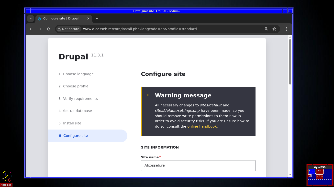 instal·lació de Drupal 11