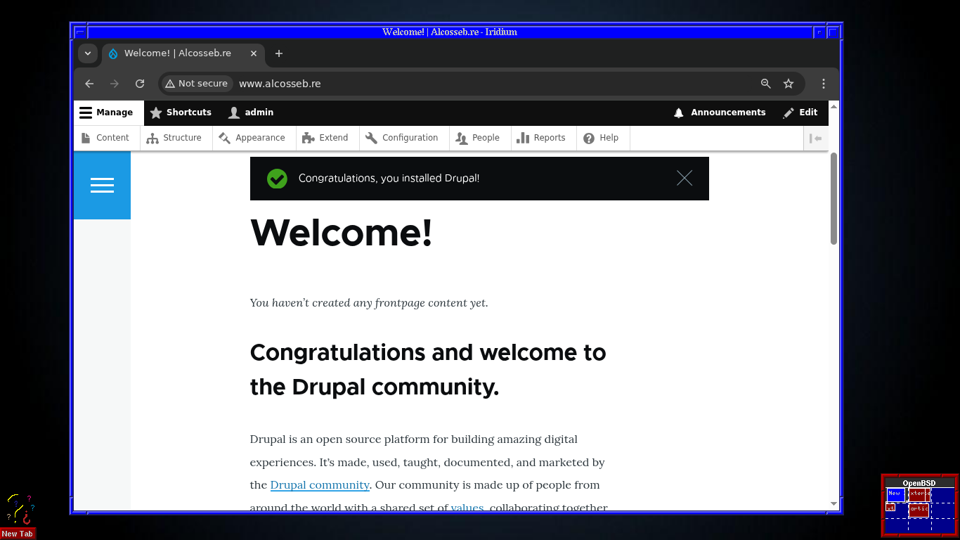 instal·lació de Drupal 11