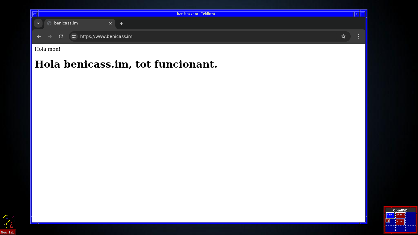 servidor nginx funcionant