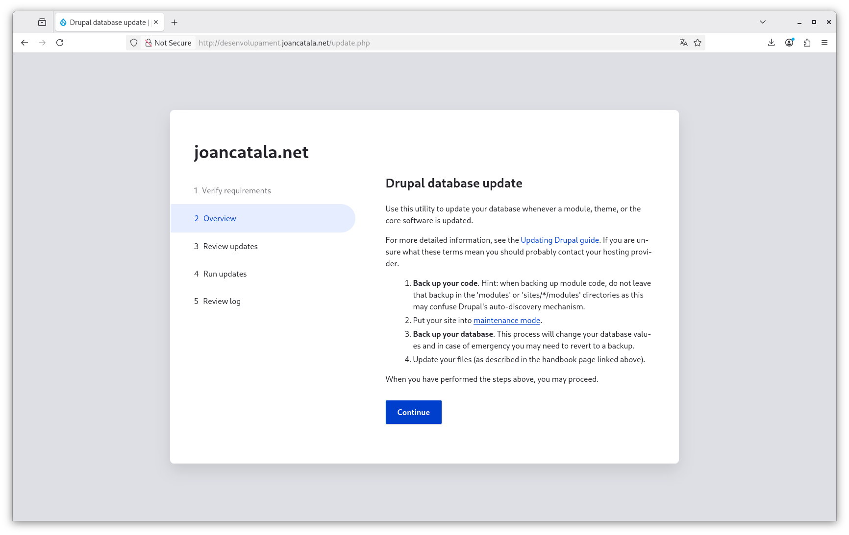 Actualització a Drupal 11