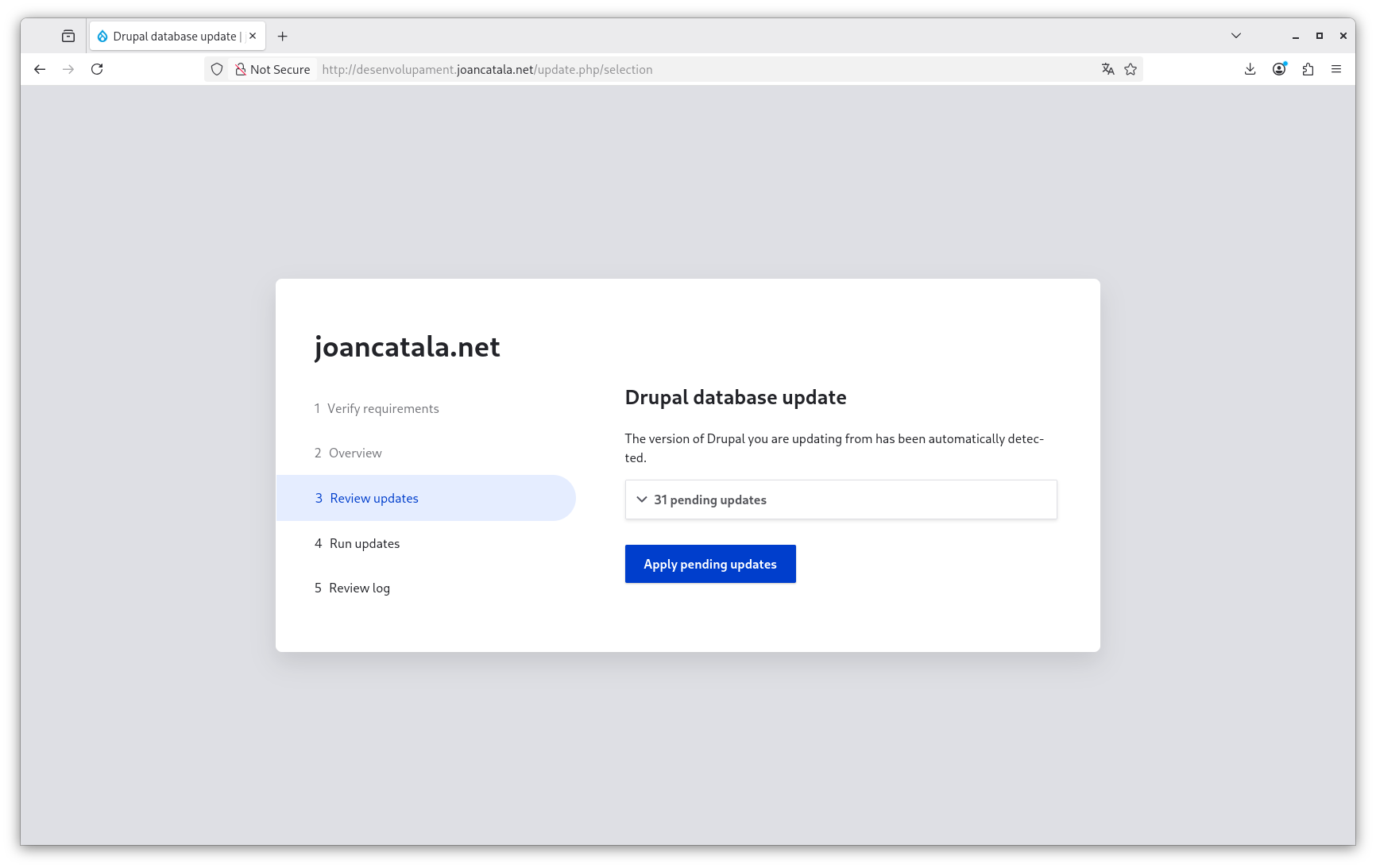 Actualització a Drupal 11