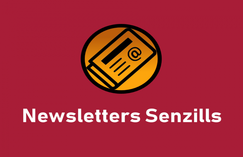 Publicada la versió 2.4 dels Newsletters Senzills