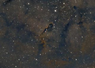 IC 1396 Trompa de l'Elefant (novembre 2021)