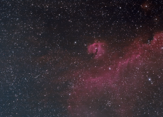 IC 2177 Nebulosa de la Gavina