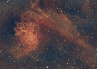 L'estrela flamejant (desembre 2021, València)