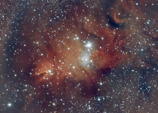 NGC 2264 Arbre de Nadal (febrer 2022)