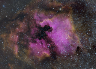 Pelícan i Nord Amèrica (estiu 2022, Setaigües - Siete Aguas)