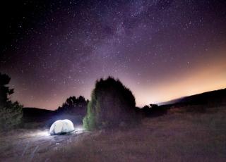 Experiment Vincent Von Ratten i Éric (Mira)