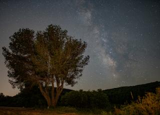 Setaigües (Maig 2025)