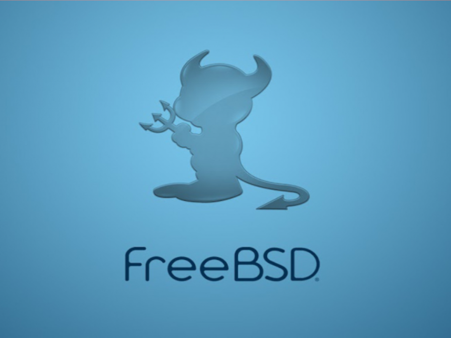 Muntant dispositius USB amb formats NTFS, exFAT i FAT32 a FreeBSD