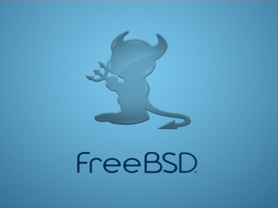 Configurant x11vnc per a tenir un escriptori en el núvol 24x7 a FreeBSD