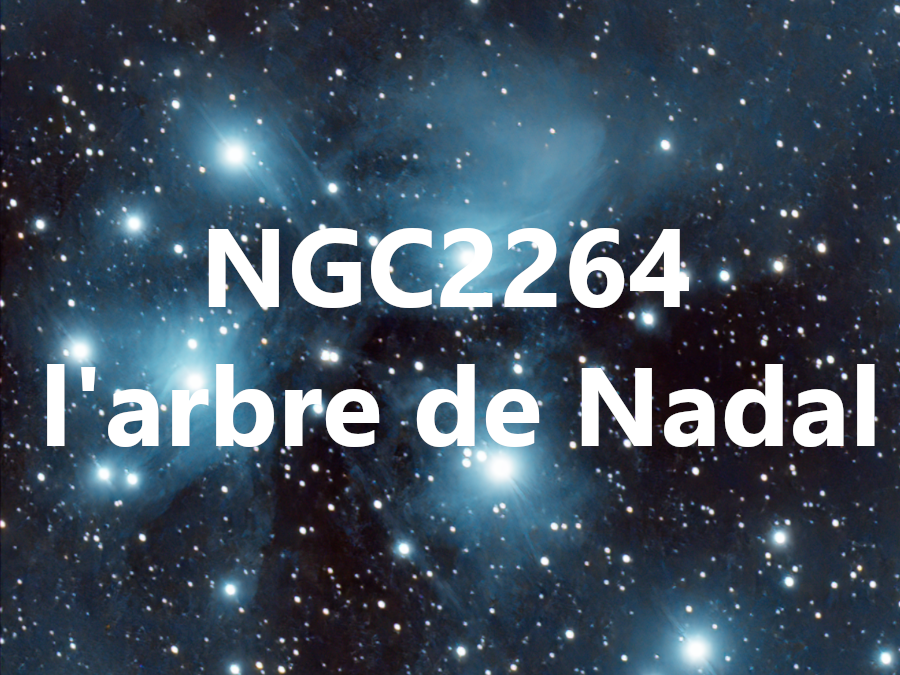 NGC2264