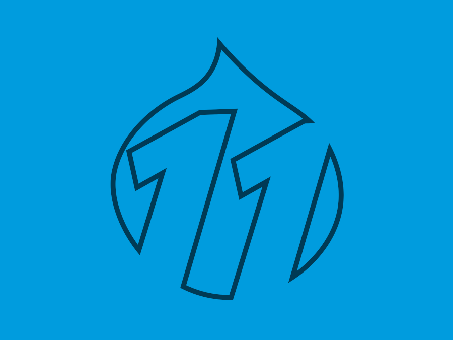 Instal·lant Drupal 11 amb Composer a FreeBSD 13