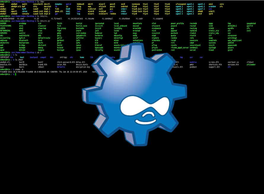Instal·lant Drush a FreeBSD 13 per a gestionar projectes Drupal des de la terminal