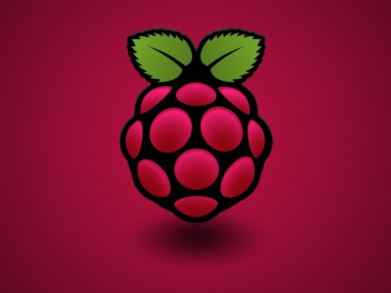 Configurant IP estàtica a la Raspberry Pi 4