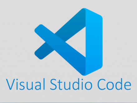 visual studio code portable i git portable