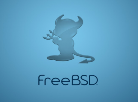 Rsync a dos discs de 4TB a la Raspberry amb FreeBSD