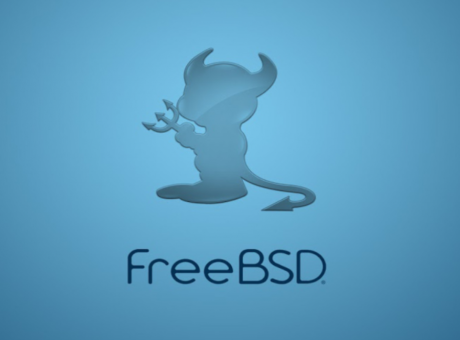 Engrandir les particions al servidor FreeBSD en producció amb una nova microSD de 256G