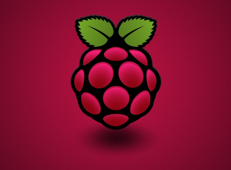 Configurant les IPs dels clons de servidor FreeBSD de la Raspberry Pi 