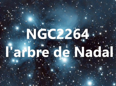 NGC2264