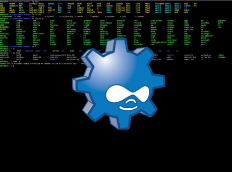 Instal·lant Drush a FreeBSD 13 per a gestionar projectes Drupal des de la terminal