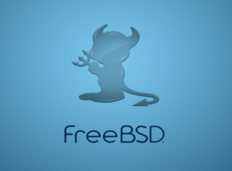 Configurant un servidor Very Secure FTP Daemon (vsftpd) a FreeBSD 13