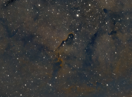 IC 1396 Trompa de l'Elefant (novembre 2021)