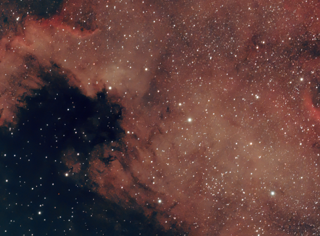 NGC 7000 Nord Amèrica (València)