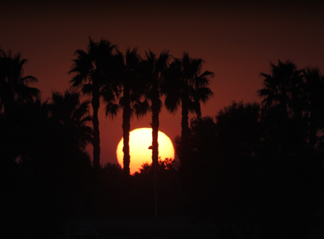 Eixida des de l'Horta de Meliana (estiu de 2022)