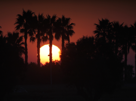 Eixida des de l'Horta de Meliana (estiu de 2022)