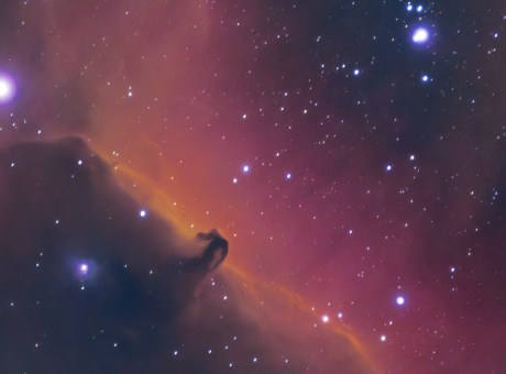 Nebulosa del cap de cavall (desembre 2021)