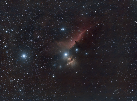 La flama i el cap de cavall