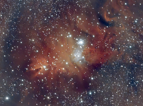 NGC 2264 Arbre de Nadal (febrer 2022)