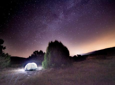 Experiment Vincent Von Ratten i Éric (Mira)